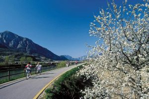 Scopri di più sull'articolo Ciclabile della Valle dell’Adige