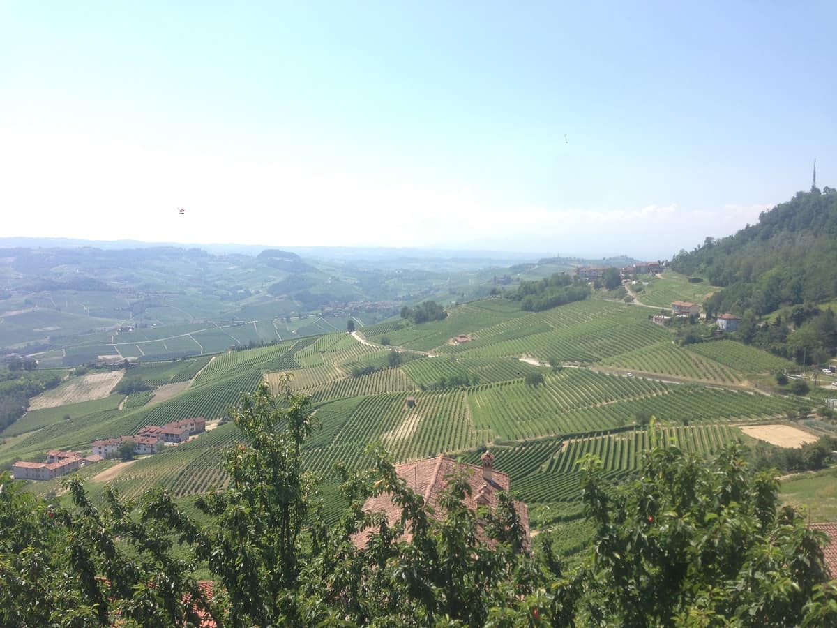Cicloturismo in Piemonte: alla scoperta della Langa del Barolo